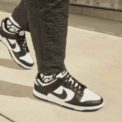 Nike Dunk Low Desert Sand