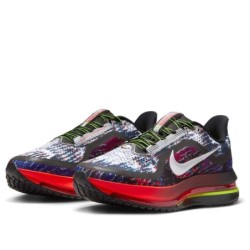 Nike Pegasus Premium - Soutien Évolutif Dynamique Pied
